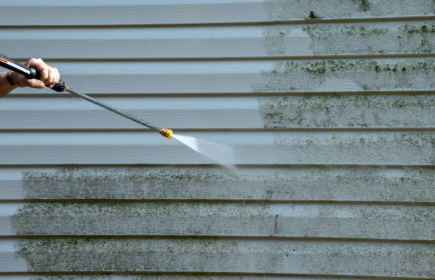 Best Driveway Pressure Washing  in Cedar Heights, MD
